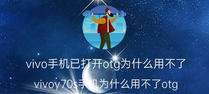 vivo手机已打开otg为什么用不了 vivoy70s手机为什么用不了otg？